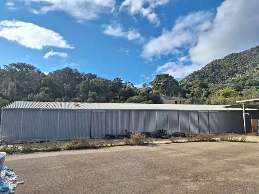 Immagine 29 di Capannone industriale in vendita  in Regione Funtana COperta, N. snc a Guspini