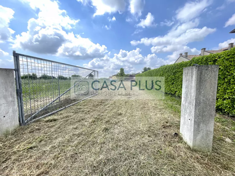 Immagine 2 di Casa bifamiliare in vendita  a Curtarolo