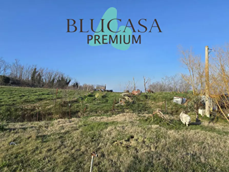 Immagine 26 di Casa indipendente in vendita  in Strada San Colombano Dogheria a Meldola