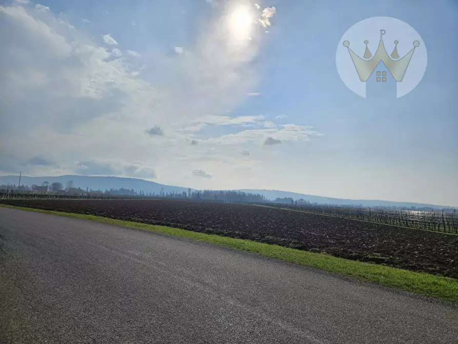 Immagine 20 di Terreno in vendita  in via dei campi a Farra D'isonzo