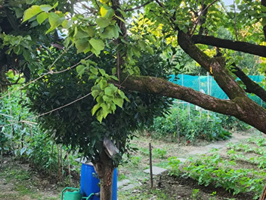 Immagine 32 di Casa bifamiliare in vendita  in Via On. Aldo Moro a Saccolongo
