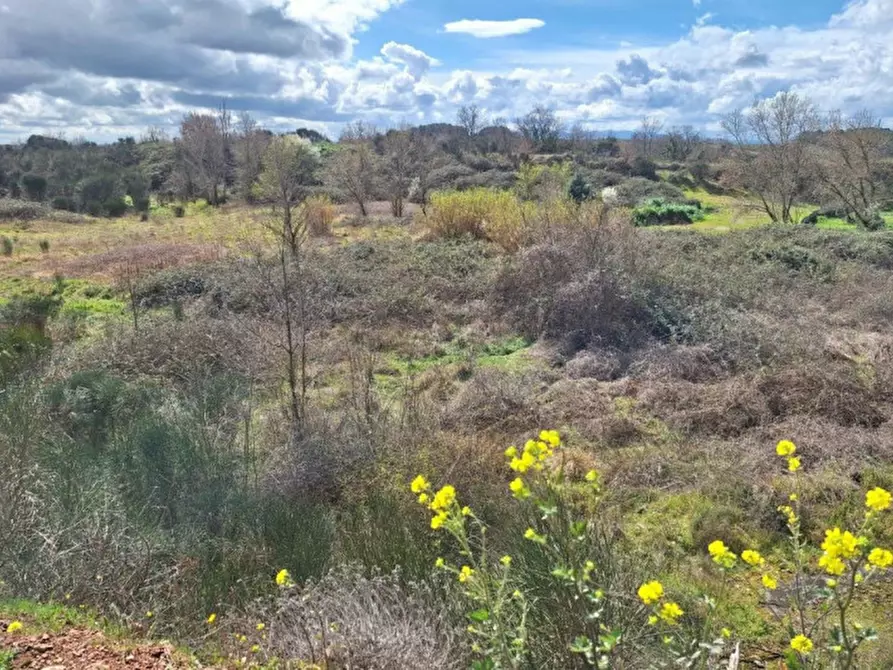 Immagine 7 di Terreno in vendita  in Località Castelvecchio, N. Snc a Massa Martana