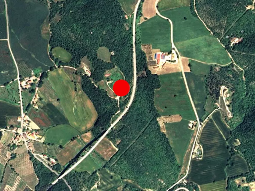 Immagine 15 di Terreno in vendita  in Località Castelvecchio, N. Snc a Massa Martana