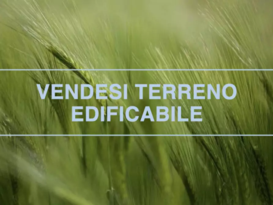 Immagine 1 di Terreno in vendita  in VIALE DEI MARTIRI a San Martino Di Lupari