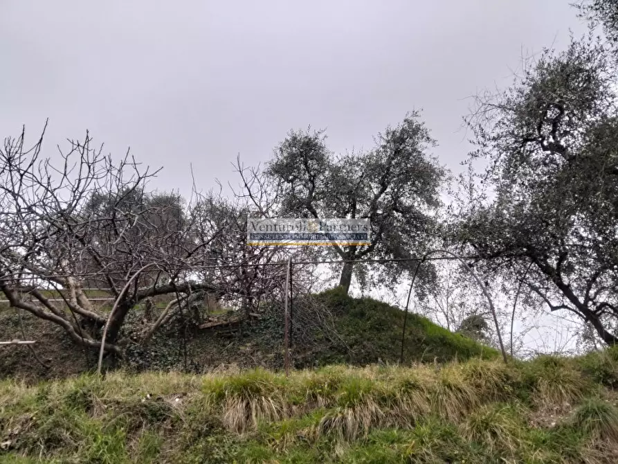 Immagine 3 di Terreno in vendita  in Via Europa a Salò