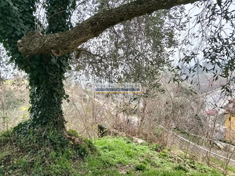 Immagine 5 di Terreno in vendita  in Via Europa a Salò