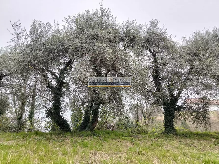 Immagine 7 di Terreno in vendita  in Via Europa a Salò