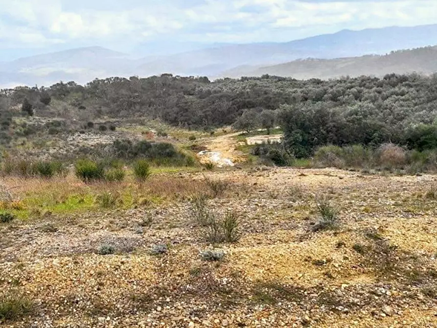 Immagine 2 di Terreno in vendita  in Località Il Poggio, N. Snc a Todi