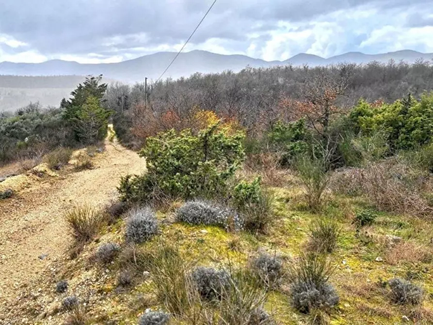 Immagine 3 di Terreno in vendita  in Località Il Poggio, N. Snc a Todi