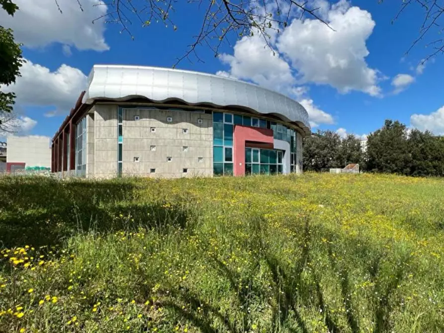 Immagine 4 di Terreno in vendita  in Località Il Poggio, N. Snc a Todi