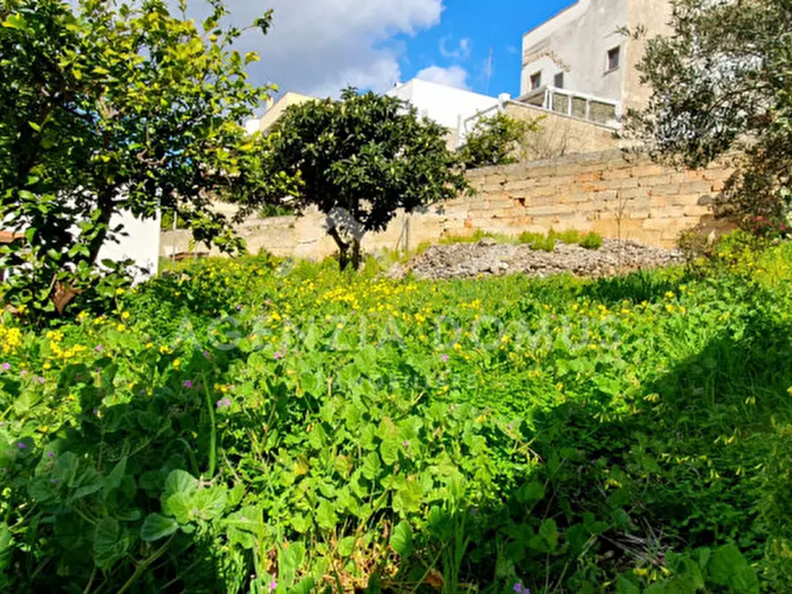 Immagine 24 di Casa indipendente in vendita  in Via Bellini 74 a Casarano