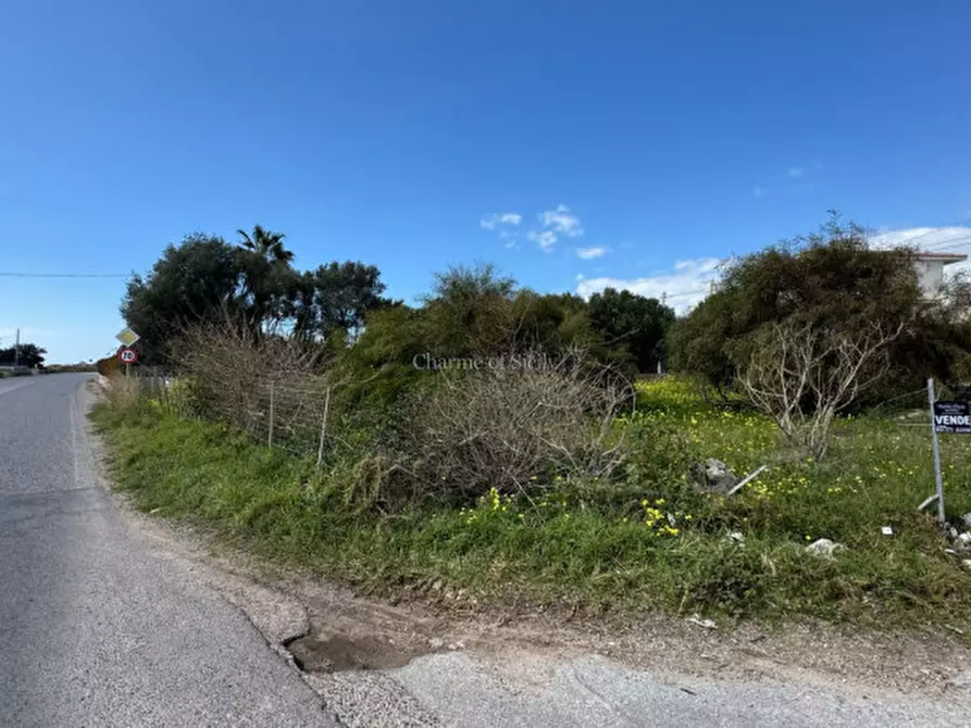 Immagine 4 di Terreno in vendita  in Viale della Pace a Scicli