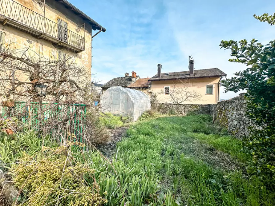 Immagine 19 di Casa quadrifamiliare in vendita  in via garibaldi a Trarego Viggiona