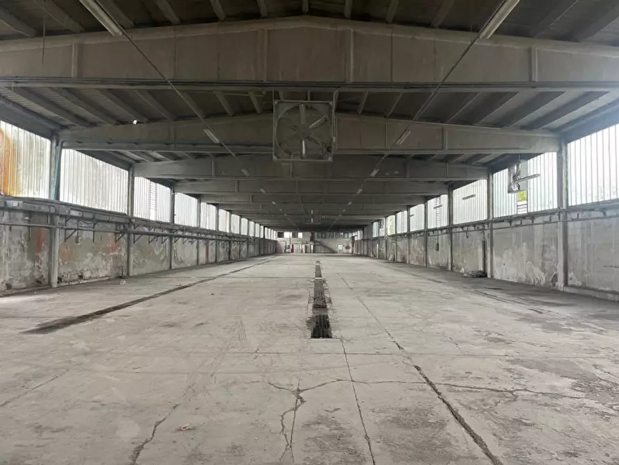 Immagine 6 di Capannone industriale in affitto  in Via Emilia Romagna a Sassuolo