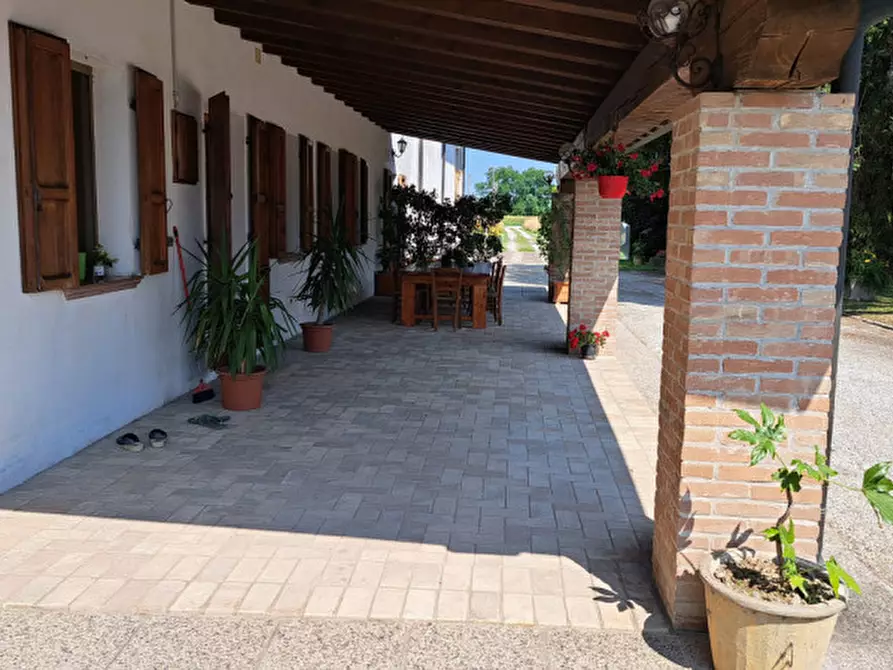 Immagine 3 di Rustico / casale in vendita  in Via vecchio castello a Piazzola Sul Brenta