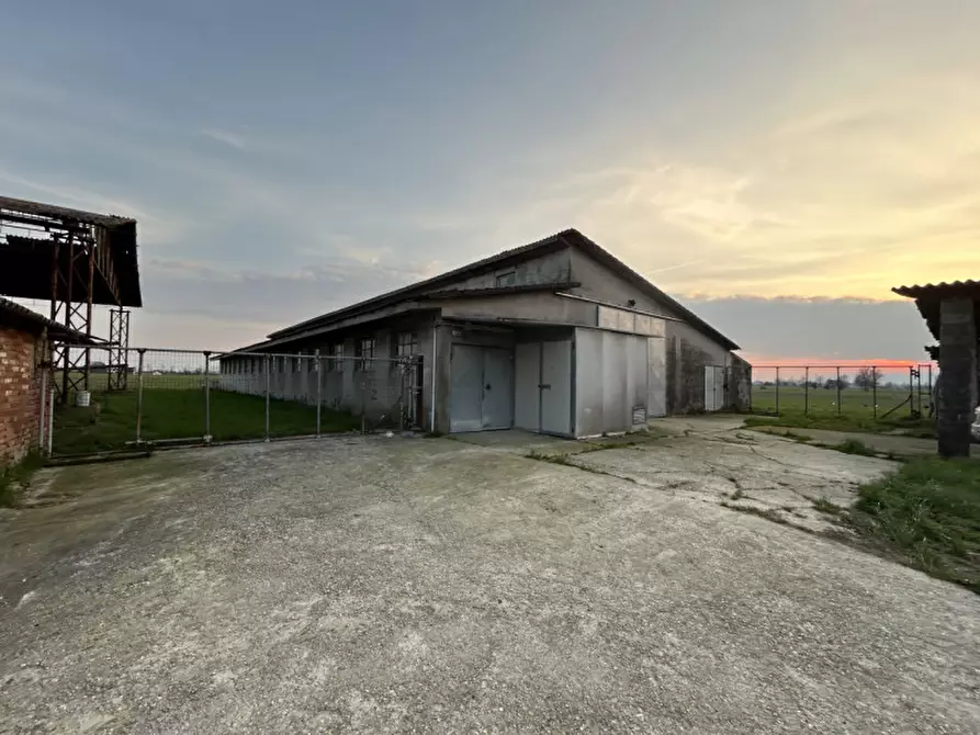 Immagine 19 di Rustico / casale in vendita  in via papa paolo vi a Campodoro