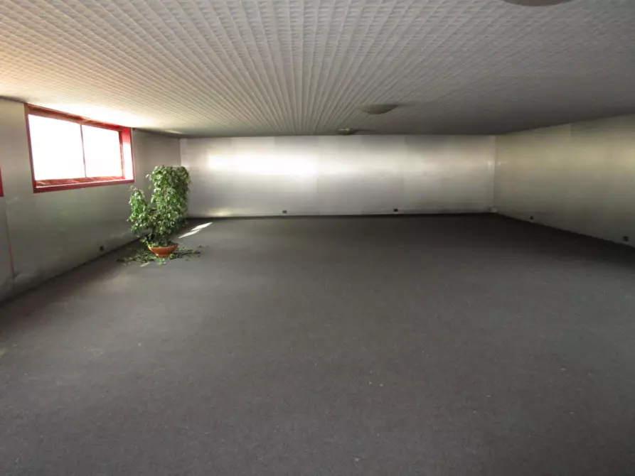 Immagine 5 di Negozio in vendita  a Noventa Padovana