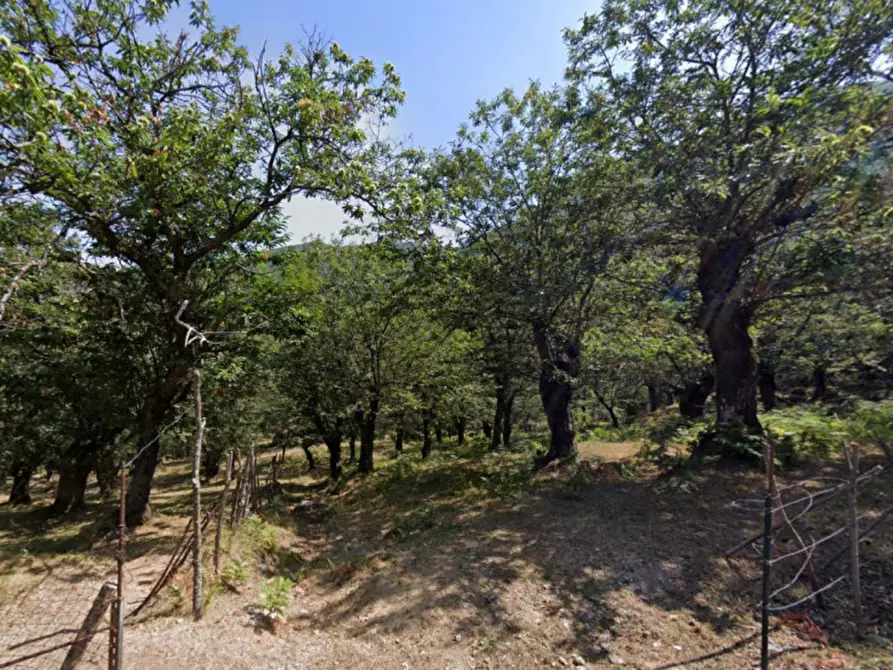 Immagine 3 di Terreno in vendita  in via Ripa dell'orto, N. snc a Solofra