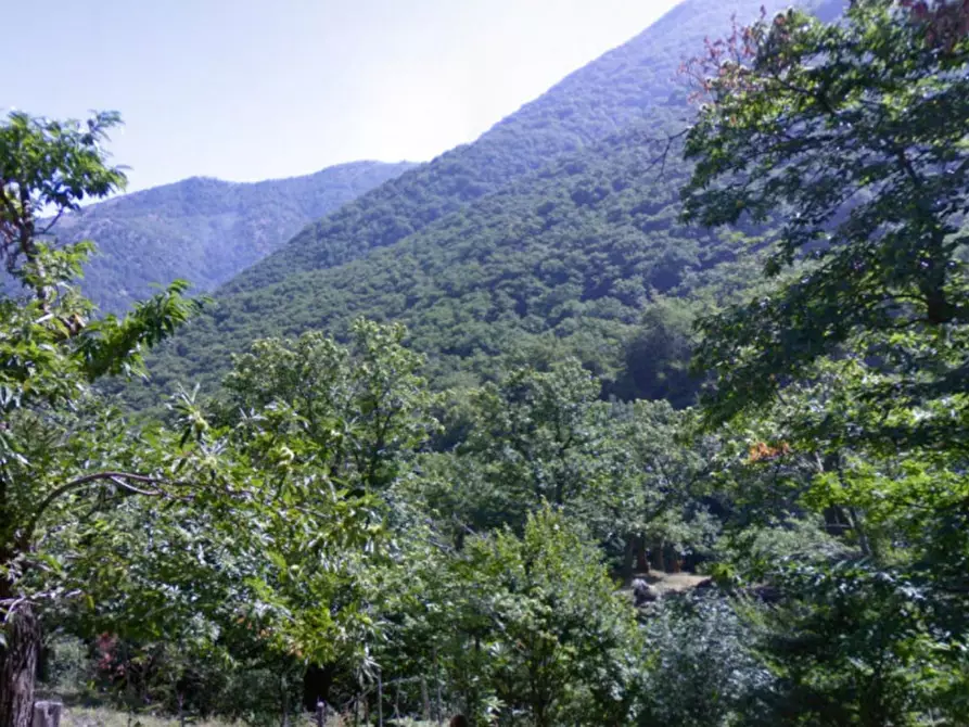 Immagine 4 di Terreno in vendita  in via Ripa dell'orto, N. snc a Solofra