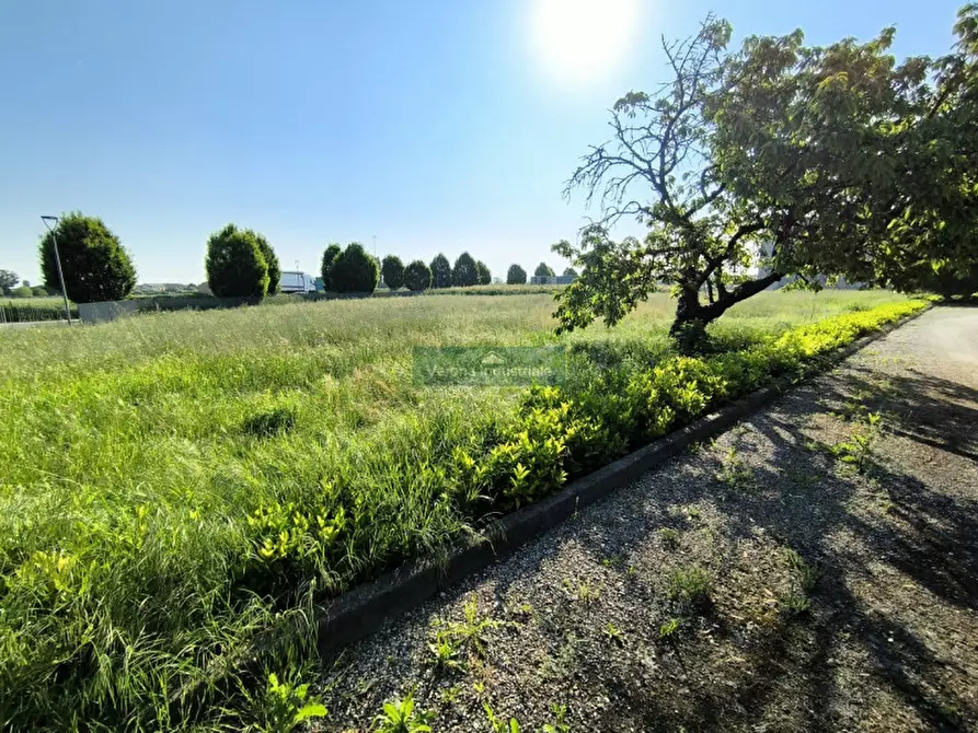 Immagine 4 di Terreno in vendita  in via Colombare 1 a Nogarole Rocca