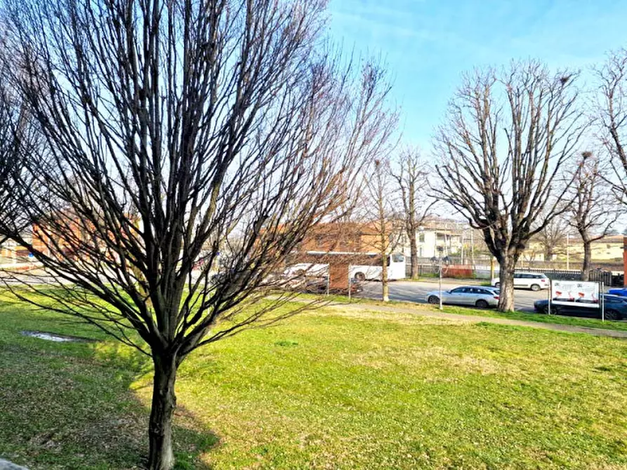 Immagine 19 di Appartamento in vendita  a Fiorenzuola D'arda