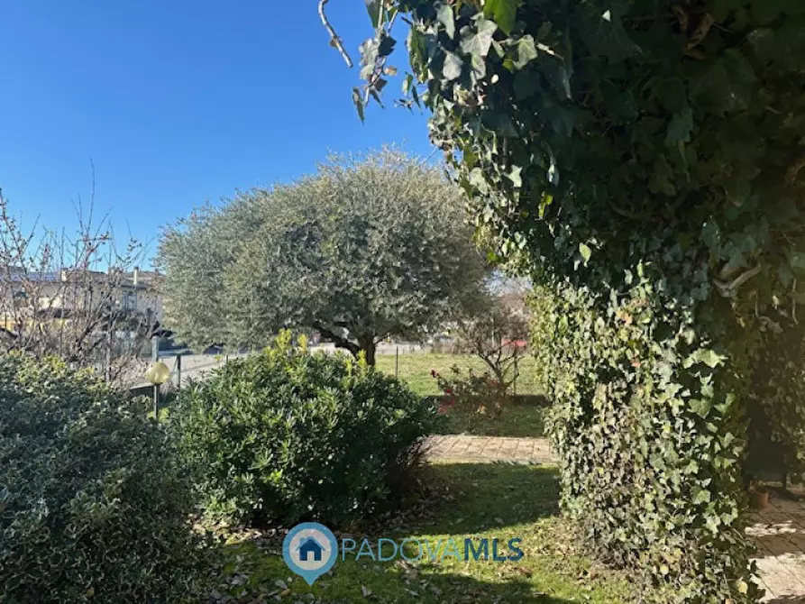 Immagine 4 di Casa indipendente in vendita  in via Fiorita a Cadoneghe
