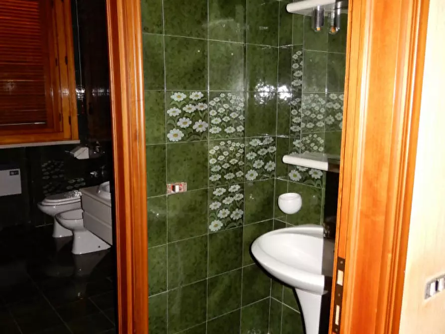 Immagine 17 di Villa in vendita  a Suzzara