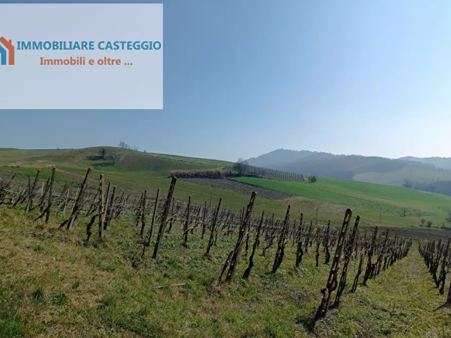 Immagine 34 di Casa indipendente in vendita  in via roma a Casteggio