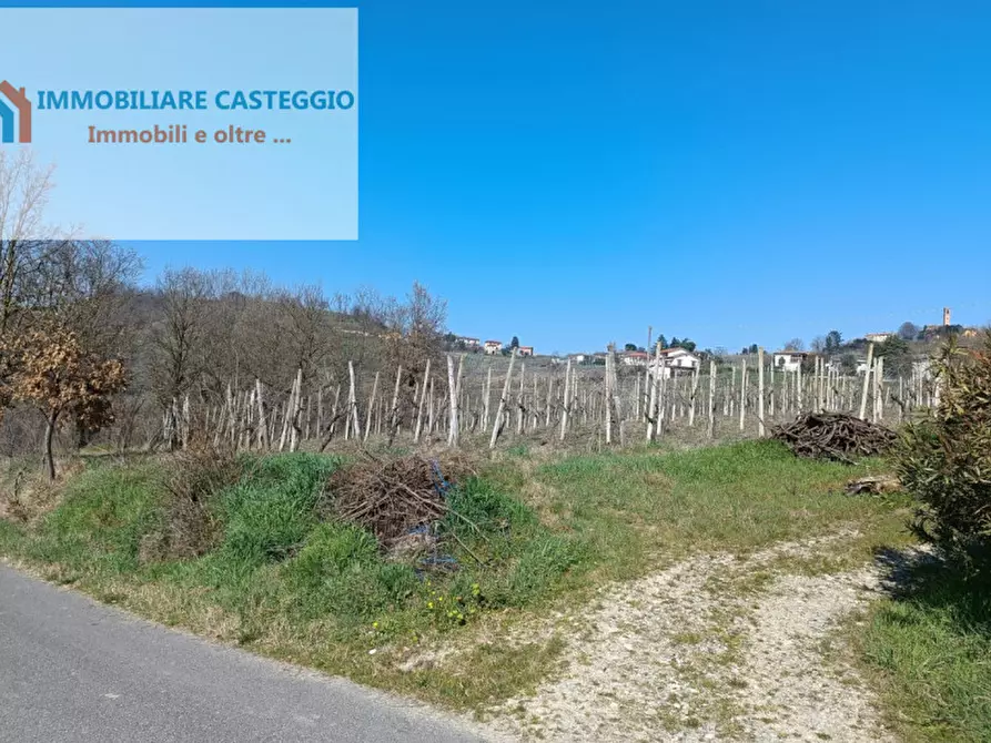 Immagine 35 di Casa indipendente in vendita  in via roma a Casteggio