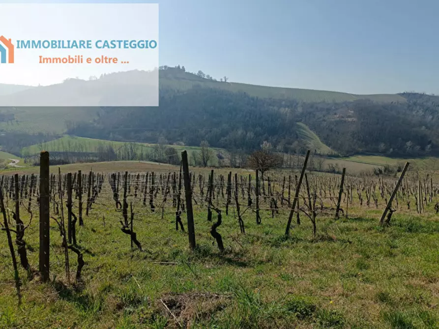 Immagine 38 di Casa indipendente in vendita  in via roma a Casteggio