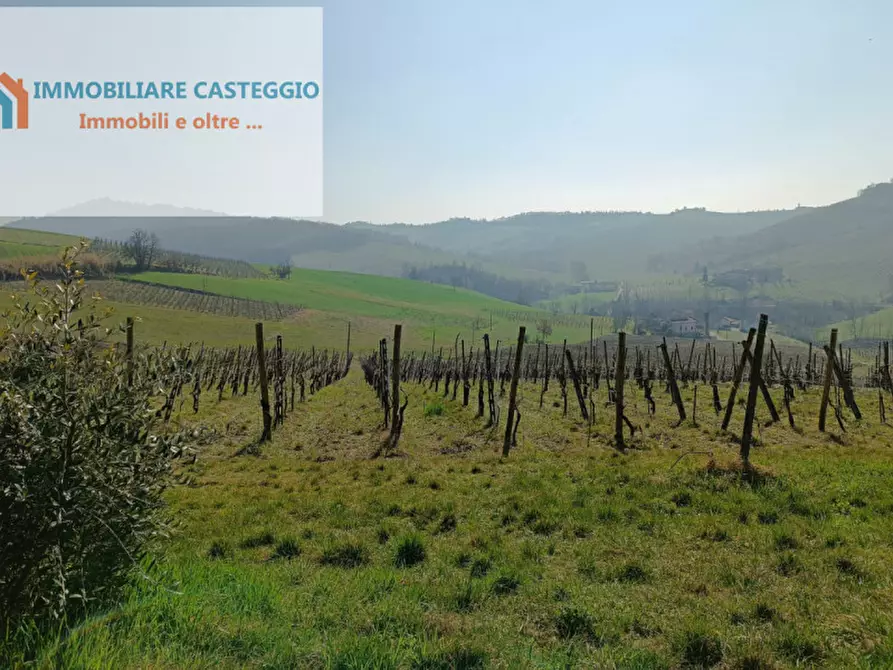 Immagine 44 di Casa indipendente in vendita  in via roma a Casteggio