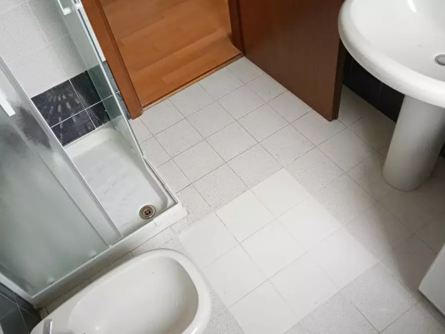 Immagine 10 di Appartamento in affitto  a Rovigo