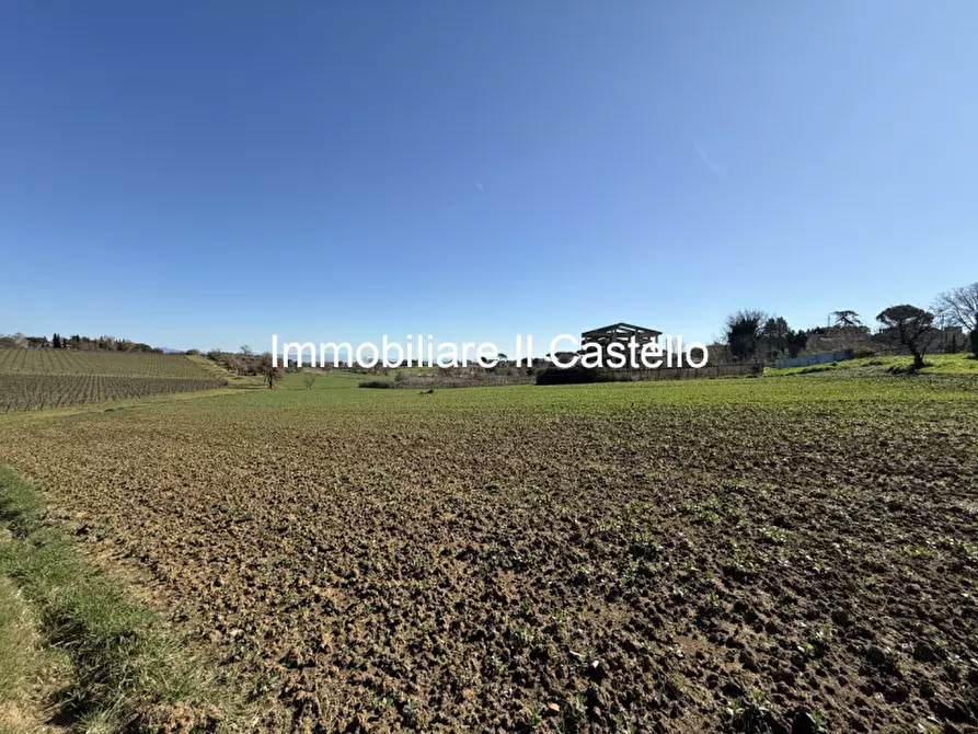 Immagine 3 di Terreno in vendita  in Via di Petrignano a Castiglione Del Lago