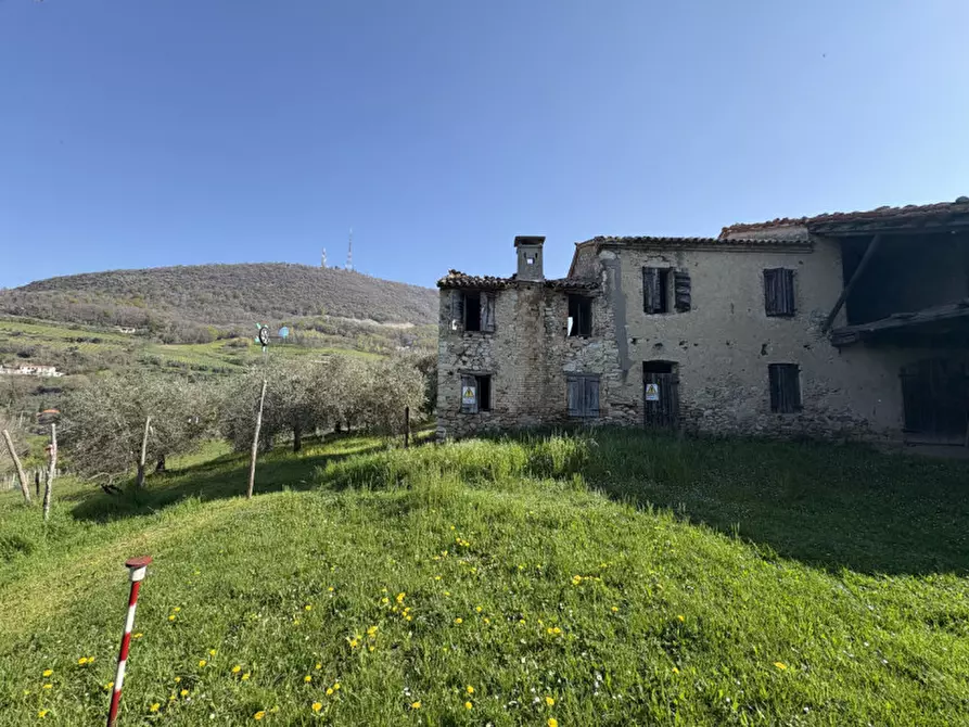 Immagine 1 di Rustico / casale in vendita  in Via Pedevenda a Cinto Euganeo