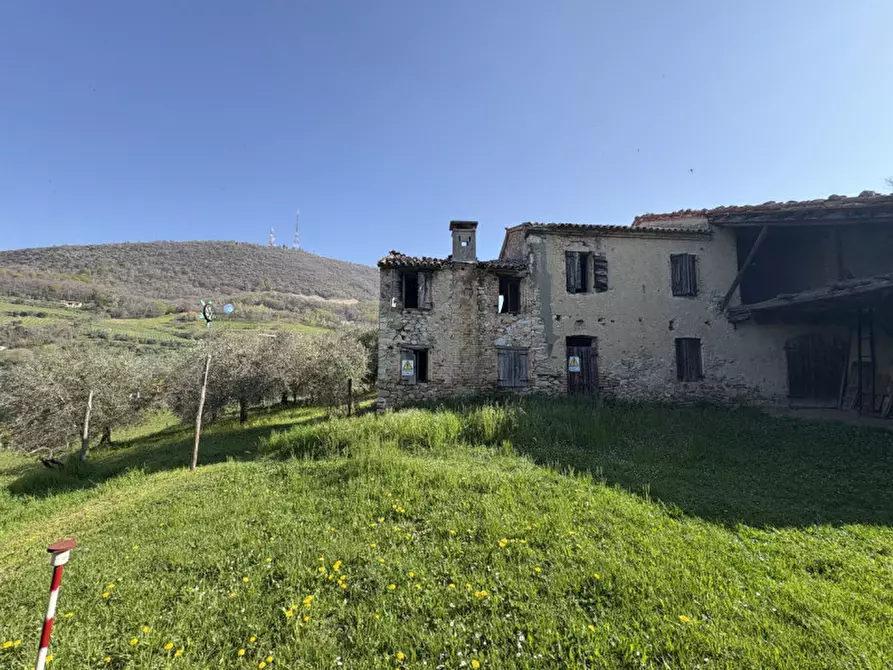 Immagine 2 di Rustico / casale in vendita  in Via Pedevenda a Cinto Euganeo