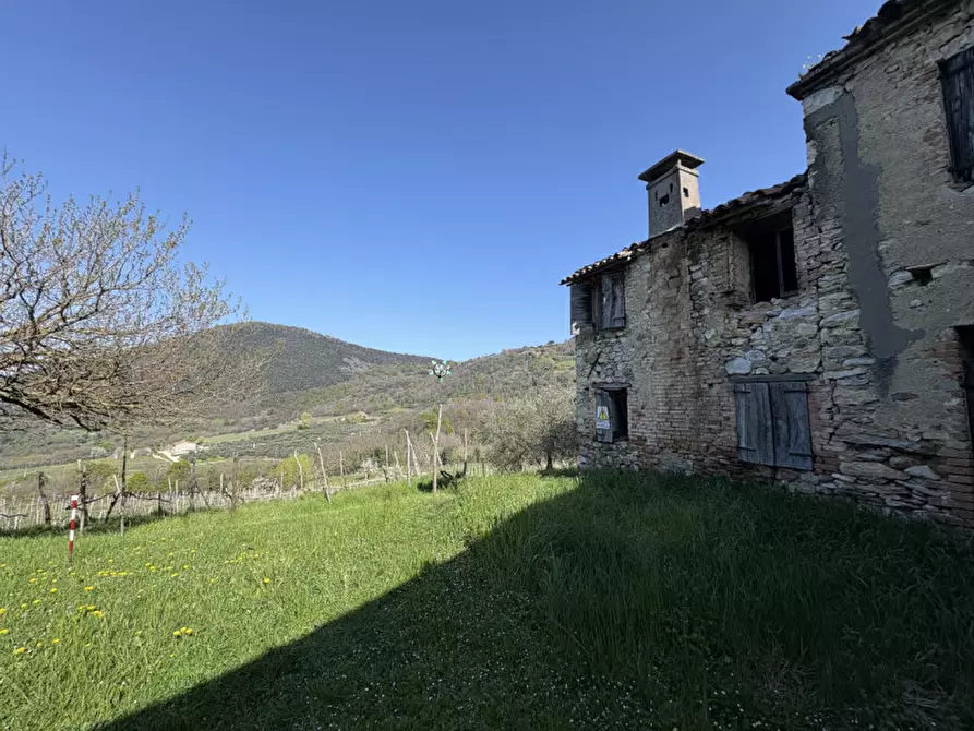 Immagine 3 di Rustico / casale in vendita  in Via Pedevenda a Cinto Euganeo