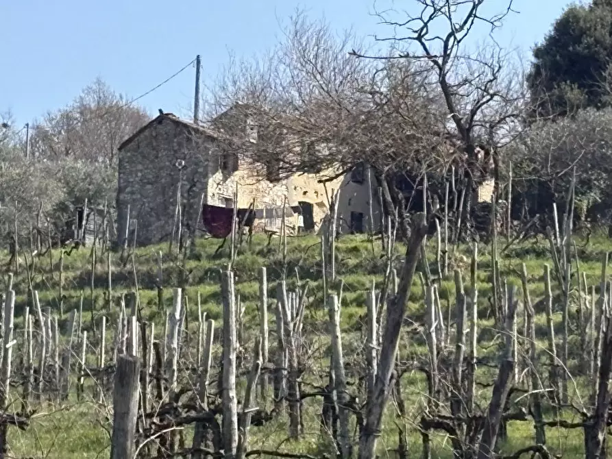 Immagine 5 di Rustico / casale in vendita  in Via Pedevenda a Cinto Euganeo