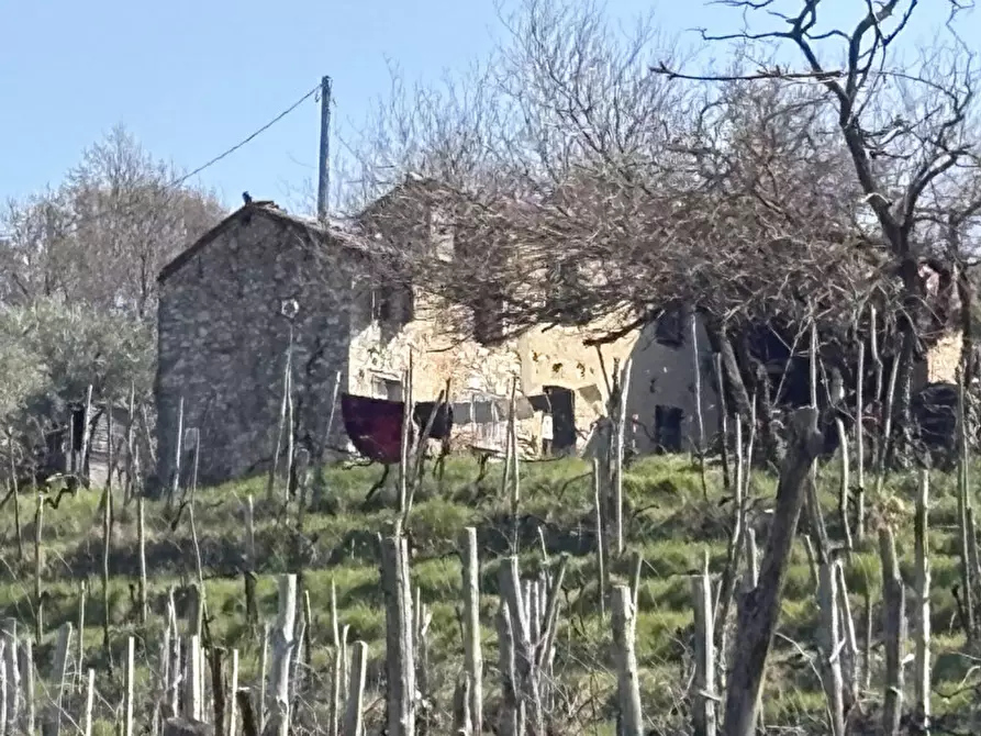 Immagine 6 di Rustico / casale in vendita  in Via Pedevenda a Cinto Euganeo