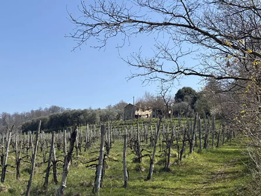 Immagine 8 di Rustico / casale in vendita  in Via Pedevenda a Cinto Euganeo