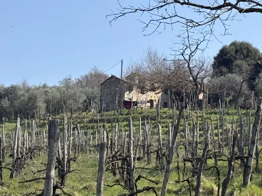 Immagine 9 di Rustico / casale in vendita  in Via Pedevenda a Cinto Euganeo