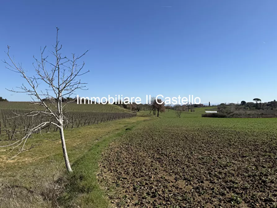 Immagine 4 di Terreno in vendita  in Strada provinciale di Petrignano del Lago a Castiglione Del Lago