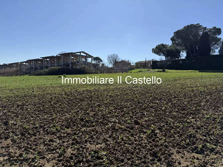 Immagine 5 di Terreno in vendita  in Strada provinciale di Petrignano del Lago a Castiglione Del Lago