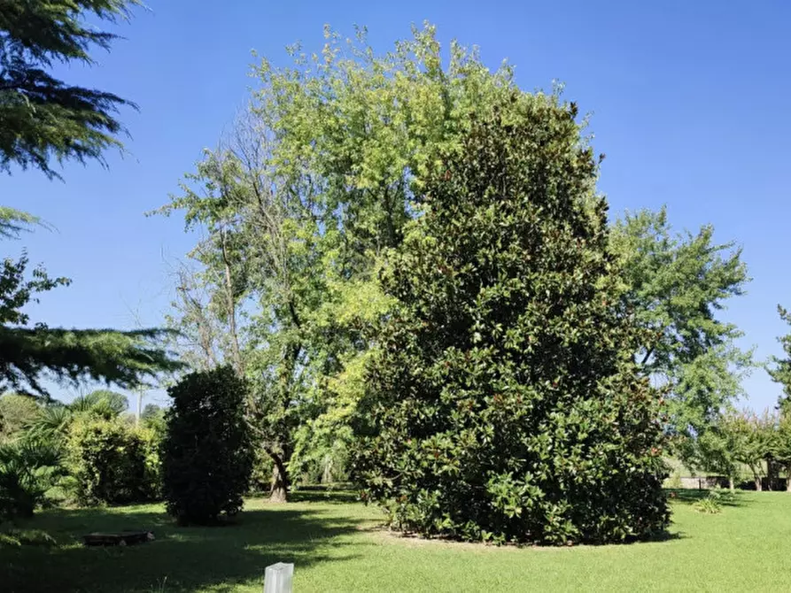 Immagine 24 di Villa in vendita  in Via Cedrugno a Annone Veneto