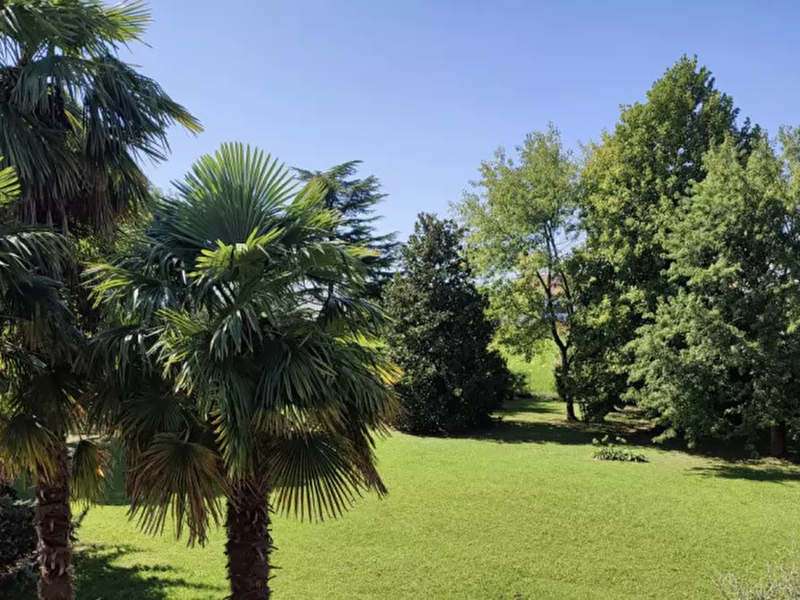 Immagine 25 di Villa in vendita  in Via Cedrugno a Annone Veneto