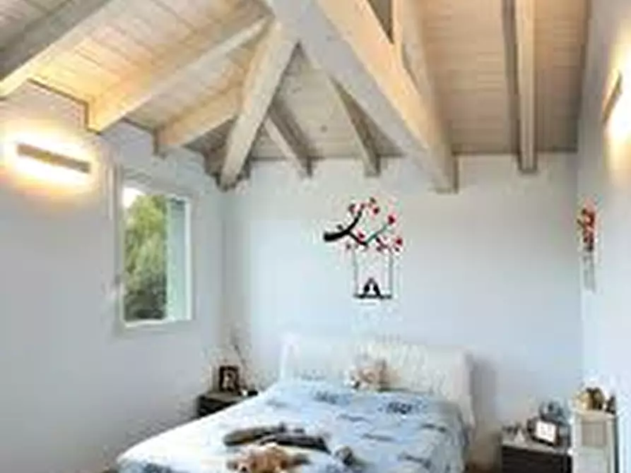 Immagine 3 di Villa in vendita  in VIA VOLTA a Vigonza