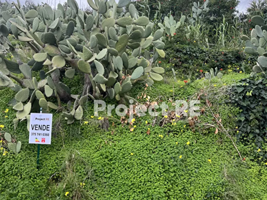 Immagine 3 di Terreno in vendita  in Via Mortara S.Leo a Reggio Di Calabria