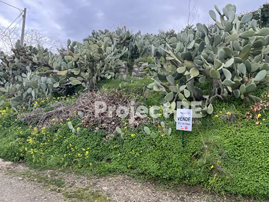 Immagine 4 di Terreno in vendita  in Via Mortara S.Leo a Reggio Di Calabria