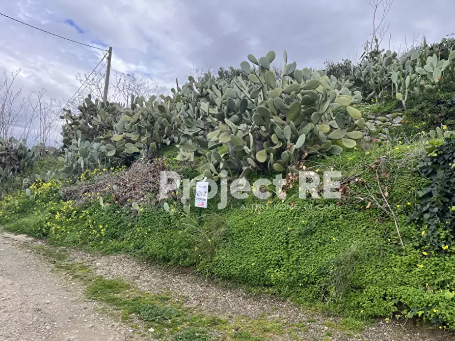 Immagine 5 di Terreno in vendita  in Via Mortara S.Leo a Reggio Di Calabria