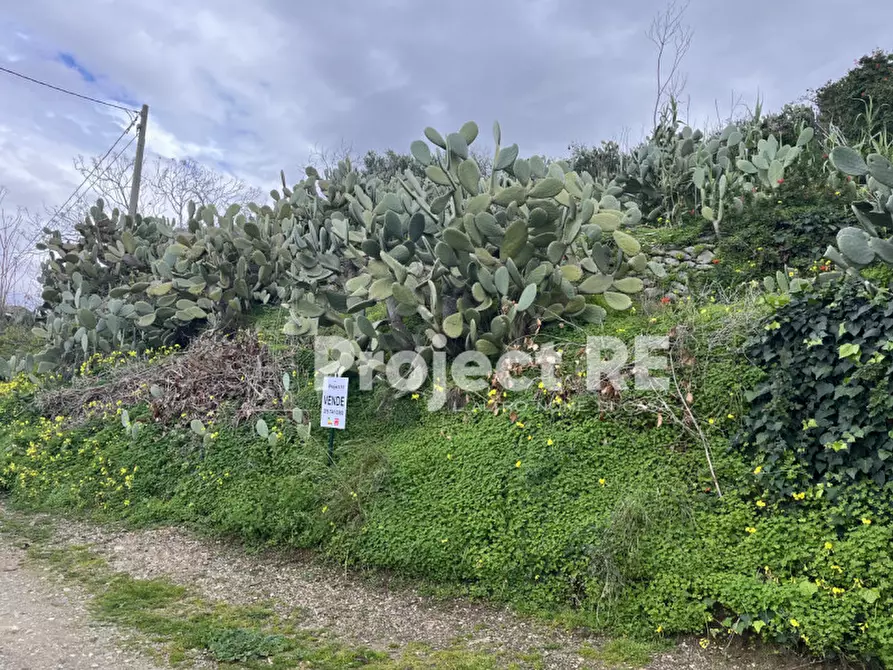 Immagine 6 di Terreno in vendita  in Via Mortara S.Leo a Reggio Di Calabria