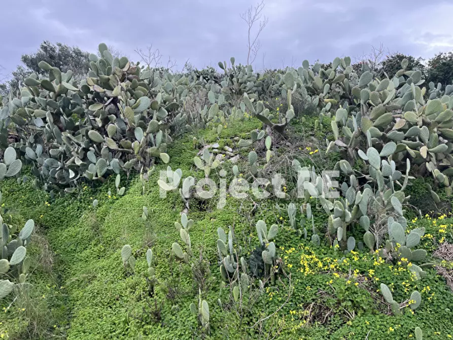 Immagine 8 di Terreno in vendita  in Via Mortara S.Leo a Reggio Di Calabria